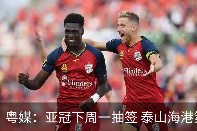 粤媒：亚冠下周一抽签 泰山海港第1档广州第2档